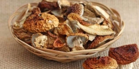 Bijela gljiva: kako sušiti za zimu, kako čuvati